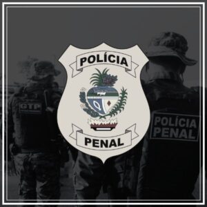 pacote de simulados concurso ppgo 2024 policial penal finalizado