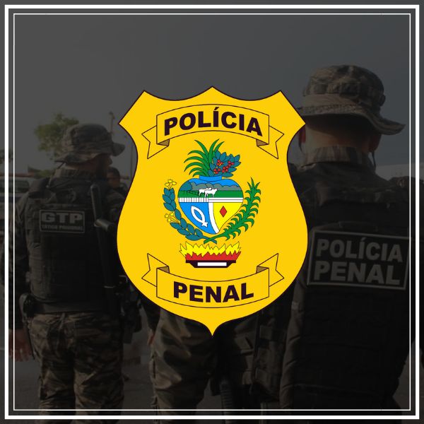 pacote de simulados concurso ppgo 2024 policial penal